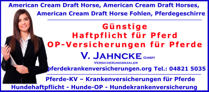 Haftpflicht-fuer-Pferd