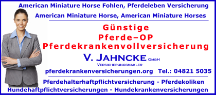 Pferde–OP